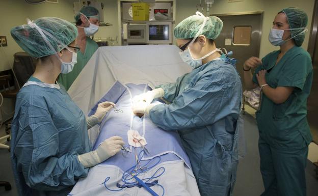 Operacion vasectomia precio